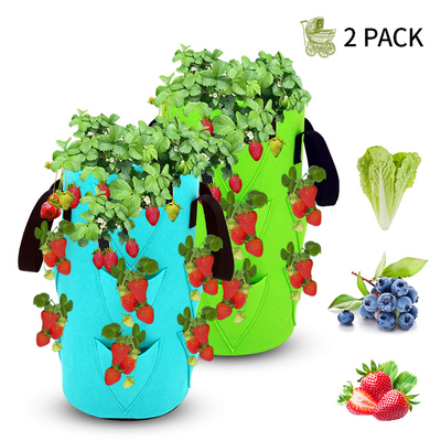 Nonwoven Fabric Strawberry Grow Bag Plant Pots