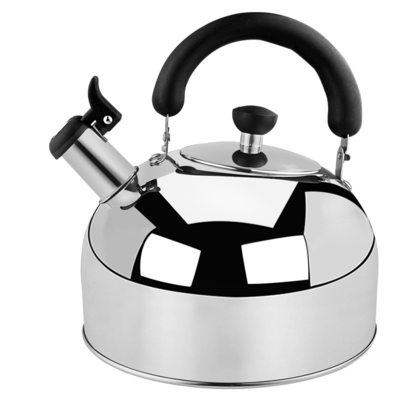 Household stainless steel electric OEM tea pot hot water whistling kettle