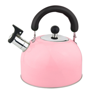 Household stainless steel electric OEM tea pot hot water whistling kettle