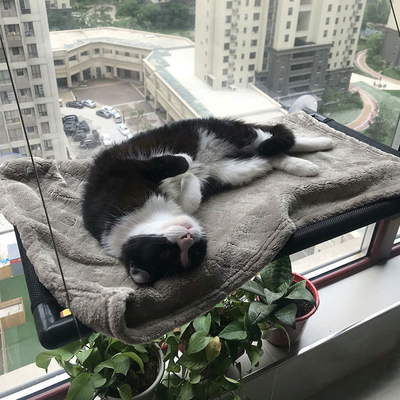 High Load Capacity Cooling Pet Mat Cushion Sucker Hanging Window Cat Hammock
