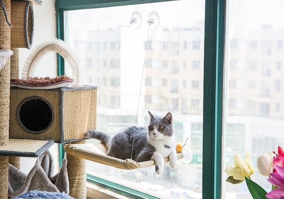 High Load Capacity Cooling Pet Mat Cushion Sucker Hanging Window Cat Hammock