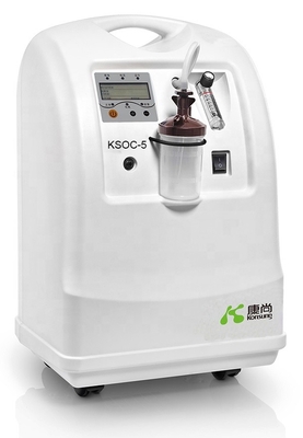 5L Oxygen Concentrator 24 Hours Working Available France Molecular Sieve Bed