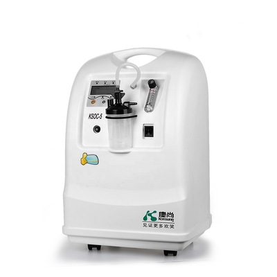 5L Oxygen Concentrator 24 Hours Working Available France Molecular Sieve Bed