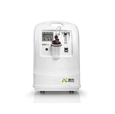 5L Oxygen Concentrator 24 Hours Working Available France Molecular Sieve Bed