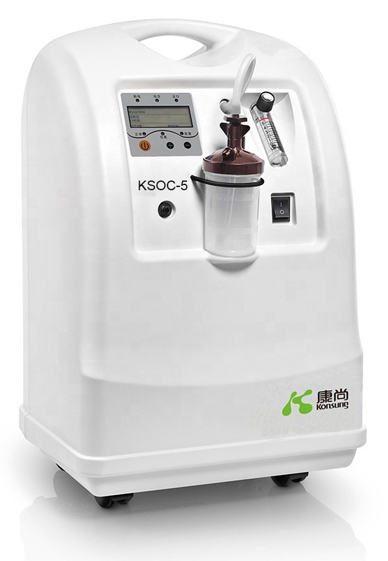 5L Oxygen Concentrator 24 Hours Working Available France Molecular Sieve Bed